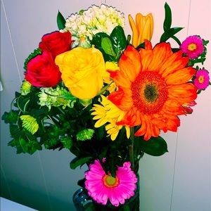 Meet your Posher, Tegan